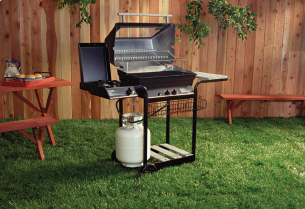 BARBECUES
