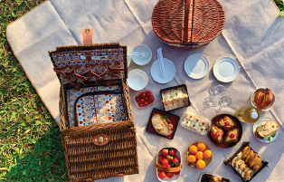 PICNICS